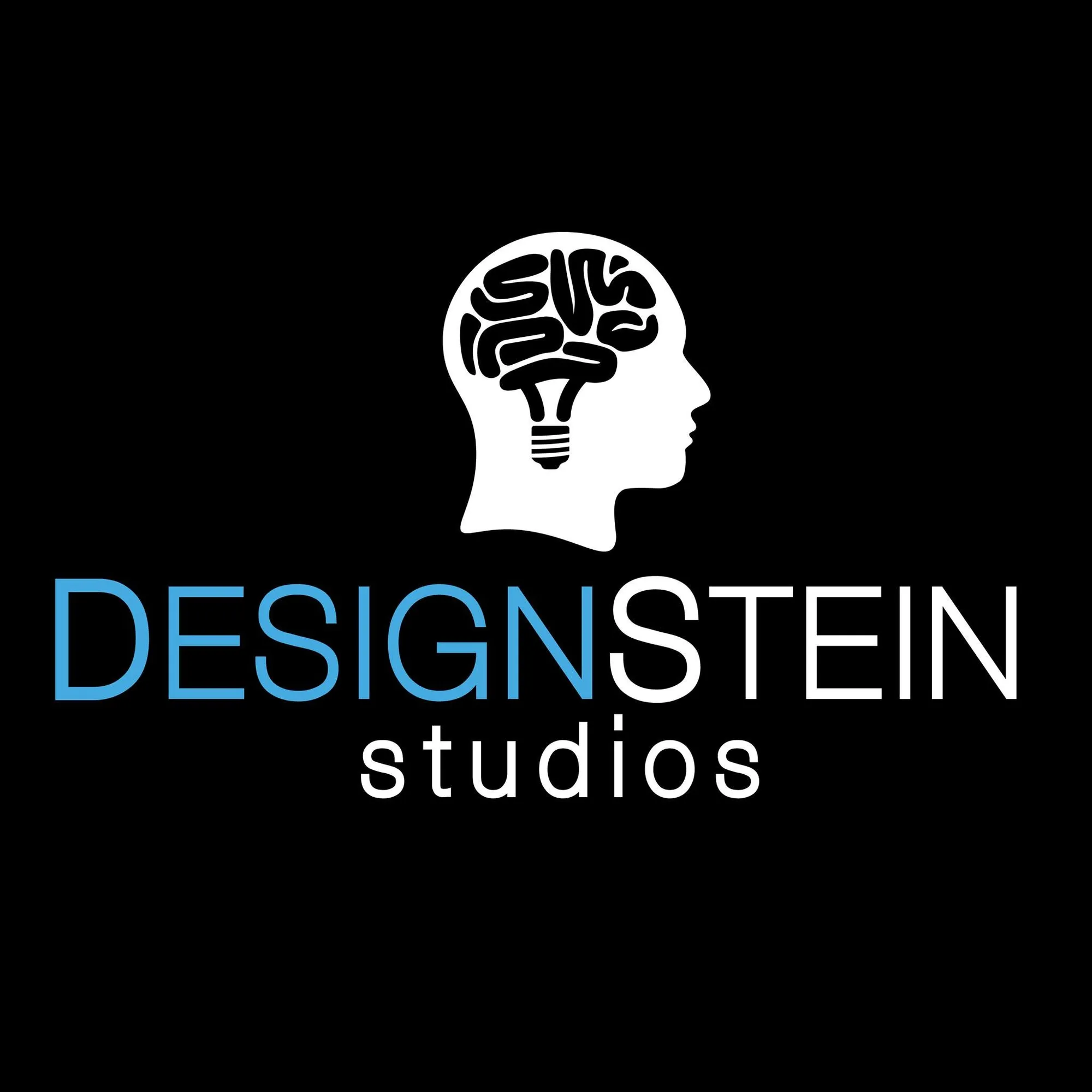 DesignStein Studios LLC