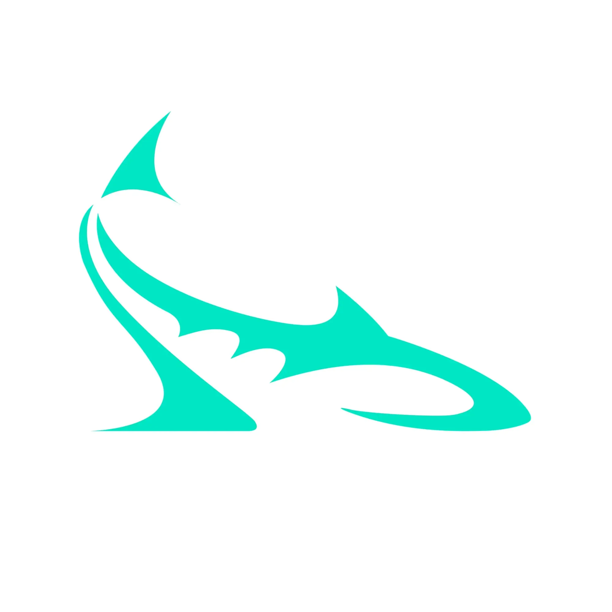 Shark Design