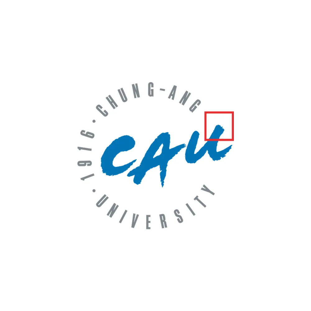 Chung-Ang University